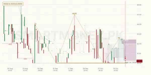 FRSM chart