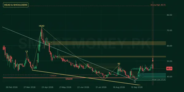 MFL chart