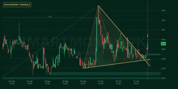 CTM chart